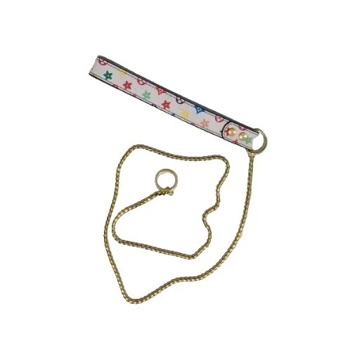 Chumbo estilo designer para show de cachorros - Imagem 1 de 4