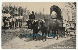 Way Down in Old Missouri - Oregon Trail Monument Expedition Post Card - Picture 1 of 2