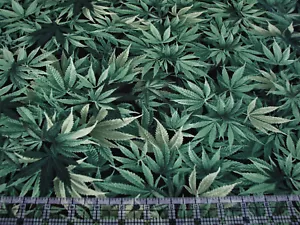 1 Yard Cotton Fabric - Timeless Treasures Marijuana Cannabis Mary Jane Weed 420 - Picture 1 of 1
