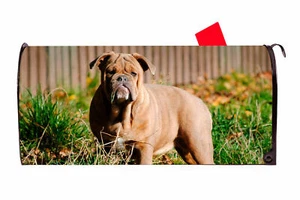 Bulldog Vinyl Magnetic Mailbox Cover Made in the USA - Picture 1 of 1