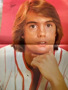 Shaun Cassidy, Richard Hatch, Double Two Page Vintage Centerfold Poster, aa - Picture 1 of 2
