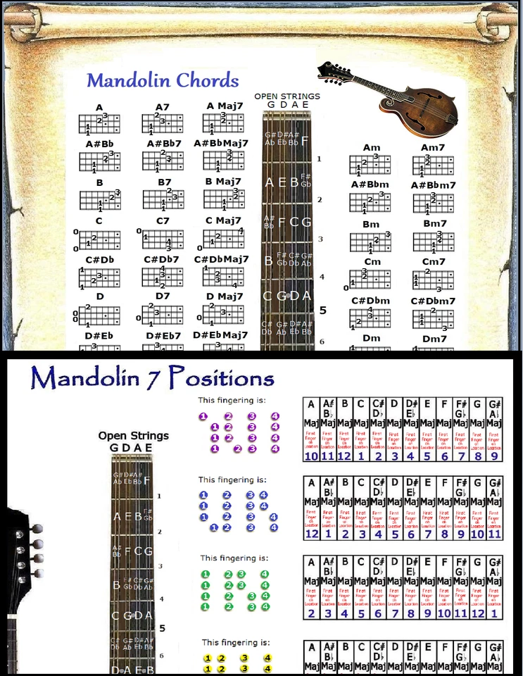 MANDOLIN CHORDS & 7 POSITION SLIDE RULE CHARTS - 2 LAMINATIONS - Image 1 of 1