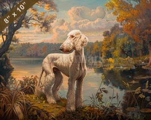Bedlington Terrier painting by a serene lake 8x10 Print - Picture 1 of 1