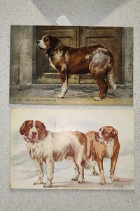 LOTE DE 2 POSTALES DOG DOGS CAÑA-SAINT BERNARD-C35-197 - Imagen 1 de 1