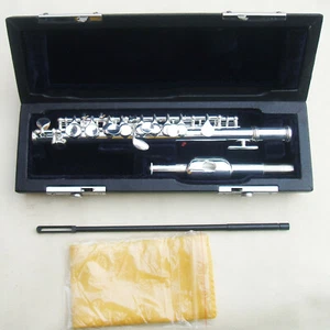 Funion Piccolo Set C Key Cupronickel Body Nickel Plated Case Rod Cloth Grease - Picture 1 of 6