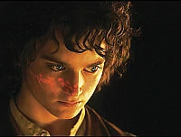 The Lord Of The Rings: Motion Picture Trilogy (DVD) Disc Only Free P & P  - Image 1 of 1