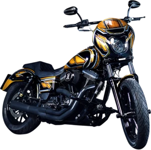 HEINZ BIKES MOTORRAHMENSCHUTZ HARLEY DAVIDSON FXD 95> - Bild 1 von 1