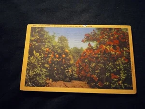 California Orange Irchard eingezäunt von Rosen - Vintage Postkarte 1951 Poststempel - Bild 1 von 2