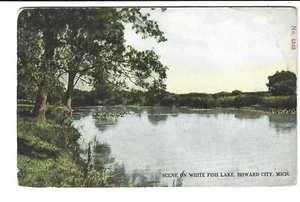ESCENA DE POSTAL EN BLANCO LAGO HOWARD CITY MICHIGAN - Imagen 1 de 2