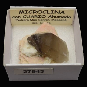 MICROCLINA y CUARZO AHUMADO (Massabe, Sils, Girona, España) #27943 / Microcline - Bild 1 von 1