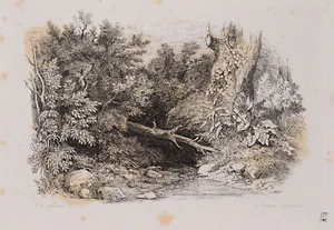 A. PENNAUTIER (*1803), Waldstück bei Luchon, Pyrenäen, Radierung Romantik - Bild 1 von 4