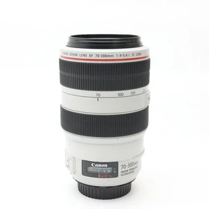 Canon EF 70-300mm F/4-5.6L IS USM (Canon EF mount) #61 - Picture 1 of 12
