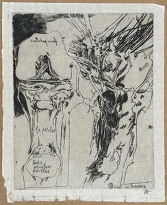 Horst Janssen, lig. patellae, Radierung, 1985, handsigniert - Bild 1 von 4