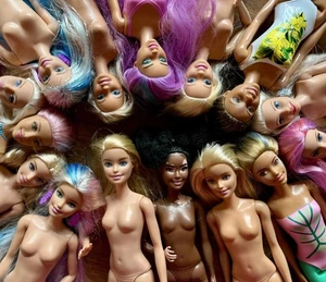 Konvolut (15) Barbie Puppe Set Fashionista Dreamtopia 2010-2019 Ära farbige Haare - Bild 1 von 11