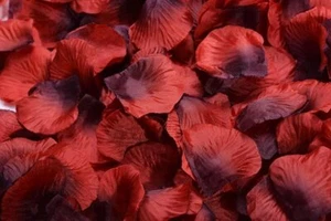 2000 Pcs Dark Red Silk Rose Petals Wedding Table Decoration Flower Confetti - Picture 1 of 5