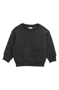 Burberry London Burberry Kids' Alven Embossed Horseferry Logo Sweatshirt in - Picture 1 of 1