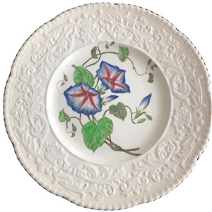 CAULDON ENGLAND 11” Morning Glory DINNER PLATES Hand painted EMBOSSED - Imagen 1 de 6