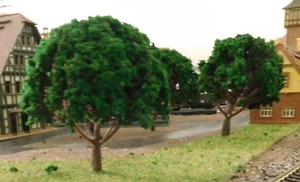10 Dark Green Deciduous Trees, 80 Mm High - Picture 1 of 8