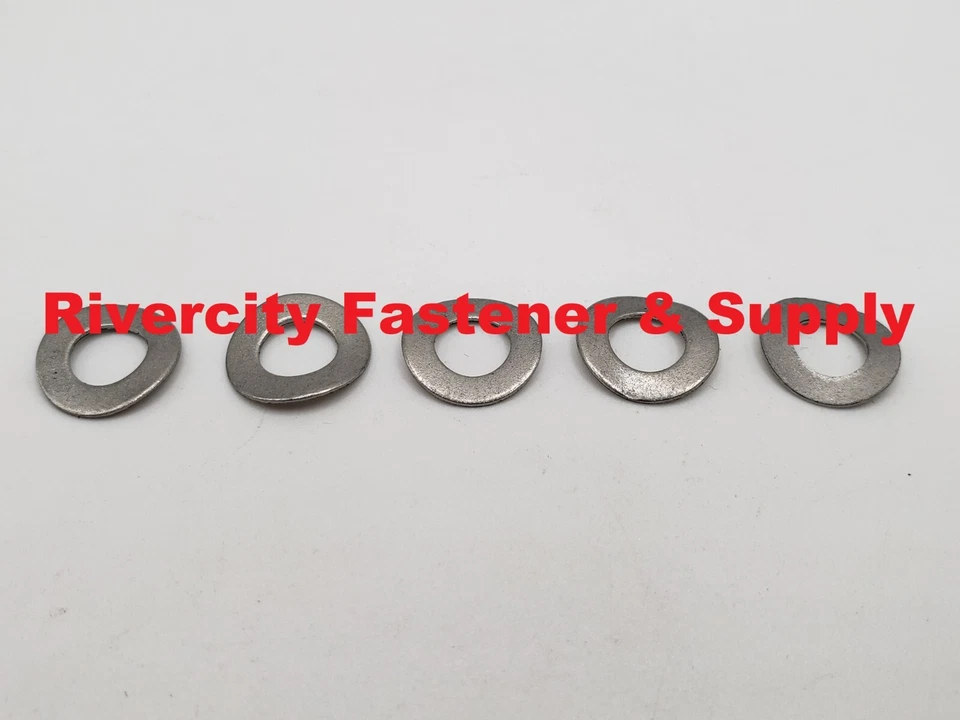 RIVERCITY FASTENER & SUPPLY (100) M6 Metric A2 / 18-8 Stainless Steel Wave / curve Washers Din 137B 6mm