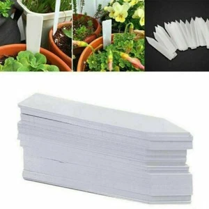 100 Stück Weiß Stecketiketten 10x2Cm Pflanzetiketten Pflanzschilder Etikett Neu - Bild 1 von 11