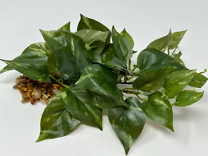 Cespuglio POTHOS 8" LUNGO, BASSO verde/bianco, pianta acquario seta morbida, base pietra - Foto 1 di 8