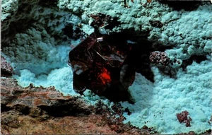 Tarjeta postal Mineral Video Stuart, Donna Wilensky Treasury Room Wurtsboro NY - Imagen 1 de 2