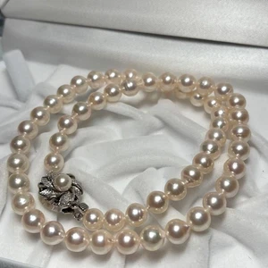 Akoya Pearl Necklace Silver White 7–7.5mm 42cm From Japan - Picture 1 of 24