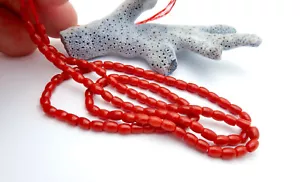 NEW STUNNING AAAAA CORSICA ISLAND MEDITERRANEAN DEEP BLOOD RED CORAL BEAD STRAND - Picture 1 of 9