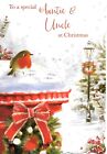 CHRISTMAS CARD TO A SPECIAL AUNTIE & UNCLE - ROBIN ON SNOWY POSTBOX. STREETLAMP