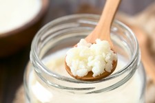 kefir grains organic milk live probiotics 1 tablespoon free shipping usa 