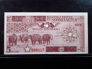 Somalia 5 Shillings 1983 Unc Cape Buffalo Central Bank Soomaaliya Money h6117 - Bild 1 von 3