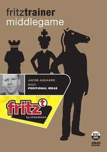 Basic Positional Ideas - Jacob Aagaard - Afbeelding 1 van 1