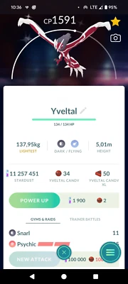 Pokemon Trade Go Shiny Yveltal Nivel 15 Investigación por debajo de 1500 CP Trade Go ¡RARO! Foto 1 de 2