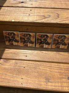 4 Hunde Schokolade Labrador Tischuntersetzer - Bild 1 von 10