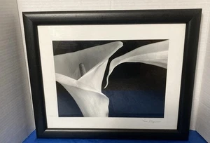 Tom Ferguson Zwei Lilien Lilie Blumen Botanik Silbergelatine Foto signiert - Bild 1 von 6