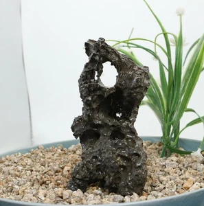 Viewing stone suiseki-scholar rock Ying stone Rough Decor Rockery bonsai J274 - Picture 1 of 6