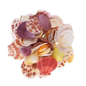 Shell Decorations Fish Tank Landscaping Aquarium Landscape Accessories - Picture 1 of 11