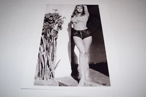 Raquel Welch pinup 8x10 glossy photo Busty Sexy Gorgeous Cleavage 1180 - Picture 1 of 1