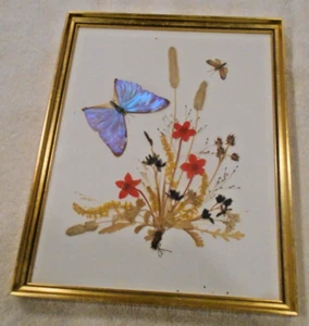 Vintage Pressed Flower and Butterfly Framed Picture, Handmade in Switzerland - Picture 1 of 1