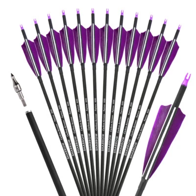 6/12 Archery Carbon Arrows 30" SP500 Feathers Tips Recurve Compound Bow Hunting - Image 1 of 4