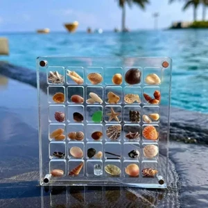 36 Grid Acrylic Magnetic Seashell Display Box Mini Seashell Collection Case - Picture 1 of 8