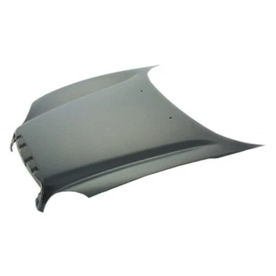 For Hyundai Santa Fe 2001 02 03 04 05 2006 Hood Panel | HY1230120 | 6640026024 Foto 1 de 2