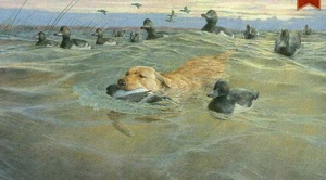 Ron Van Gilder His Time to Shine - Yellow Lab Artist's Proof on Paper - Bild 1 von 1