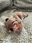 Canyon Beanie Baby 5th Gen Mint Condition