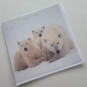 Eisbären - Mama & Baby?* KOSTENLOSER VERSAND, innen leer - Bild 1 von 3