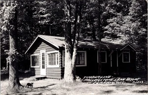 Timberline Rollingstone Lake Resort Pearson Wisconsin Cat Photo Postcard D971 - Picture 1 of 2