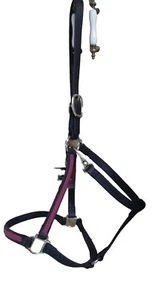 Amish made BRAHMA WEBB Black with Maroon overlay HORSE HALTER - Picture 1 of 4