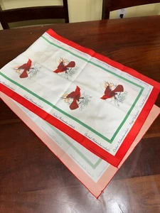 42X13" SCARF- RICHMONDENA 1975 NATIONAL WILDLIFE FEDERATION- BIRDS-AUDOBON - Picture 1 of 3