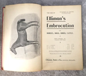Horses Dogs Birds Cattle Accidents & Ailments First Aid 1906 Elliman Slough - Picture 1 of 6