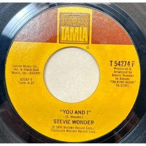 Stevie Wonder I Wish / You and I 45 Funk Soul 1976 Tamla 54274 - Imagen 1 de 6